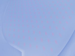 方案全面对比分析